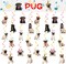 24 Pcs Pug Dog Hanging Decorations Pug Hanging Swirls Ceiling Swirls Pug Birthday Party Supplies for Pug Party Decorations
